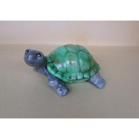 tortue_11-201 ev.jpg