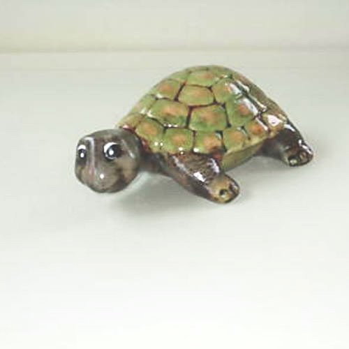 tortue_n032ev tortue_n032ev