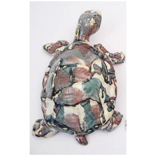 tortue_11-029p-1 tortue_11-029p-1