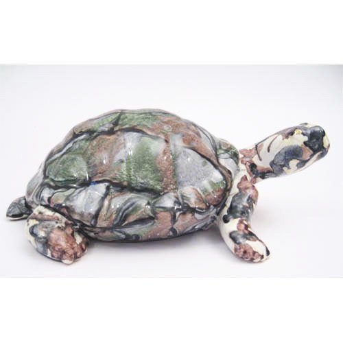 tortue_11-029p-3 tortue_11-029p-3