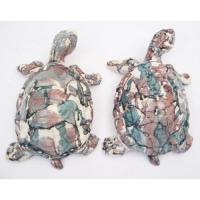 tortue_11-029p