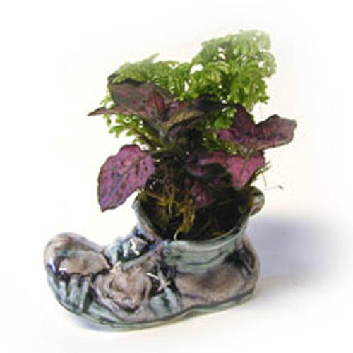 z-13-129p-1_cache-pot