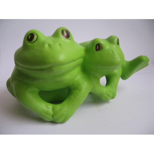 deux grenouilles.jpg