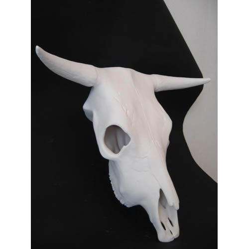 fantome_13-072 profil.jpg