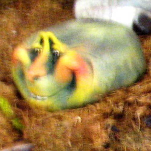 univers-de-troll_02-024b1