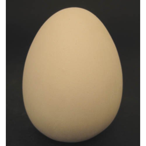 oeuf_09-016 oeuf_09-016