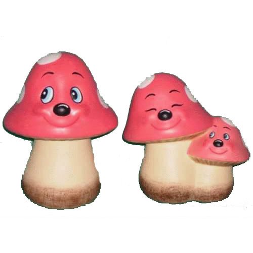 champignons_12-016a_12-017a1