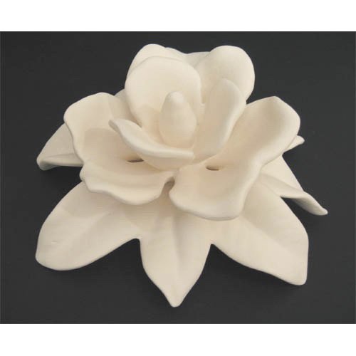 fleur_12-007 fleur_12-007