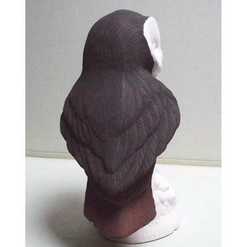 brossage-étape2 brossage-étape2